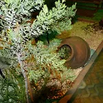 Hotel Ag & Sisli 3*